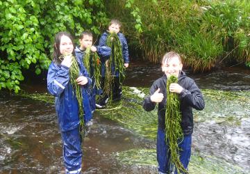Children standing in a stream holding up reeds