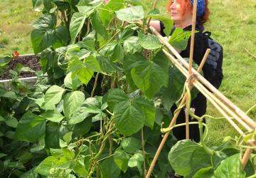 Woman tending to a raised bed