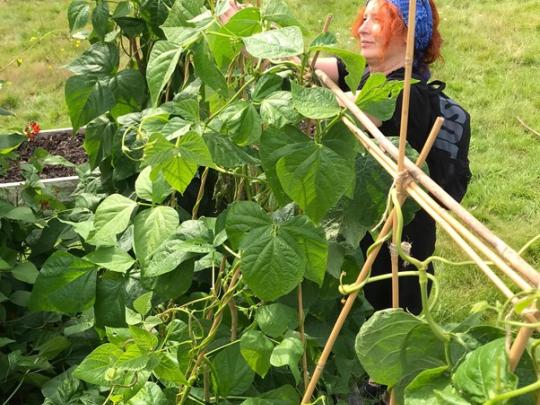 Woman tending to a raised bed